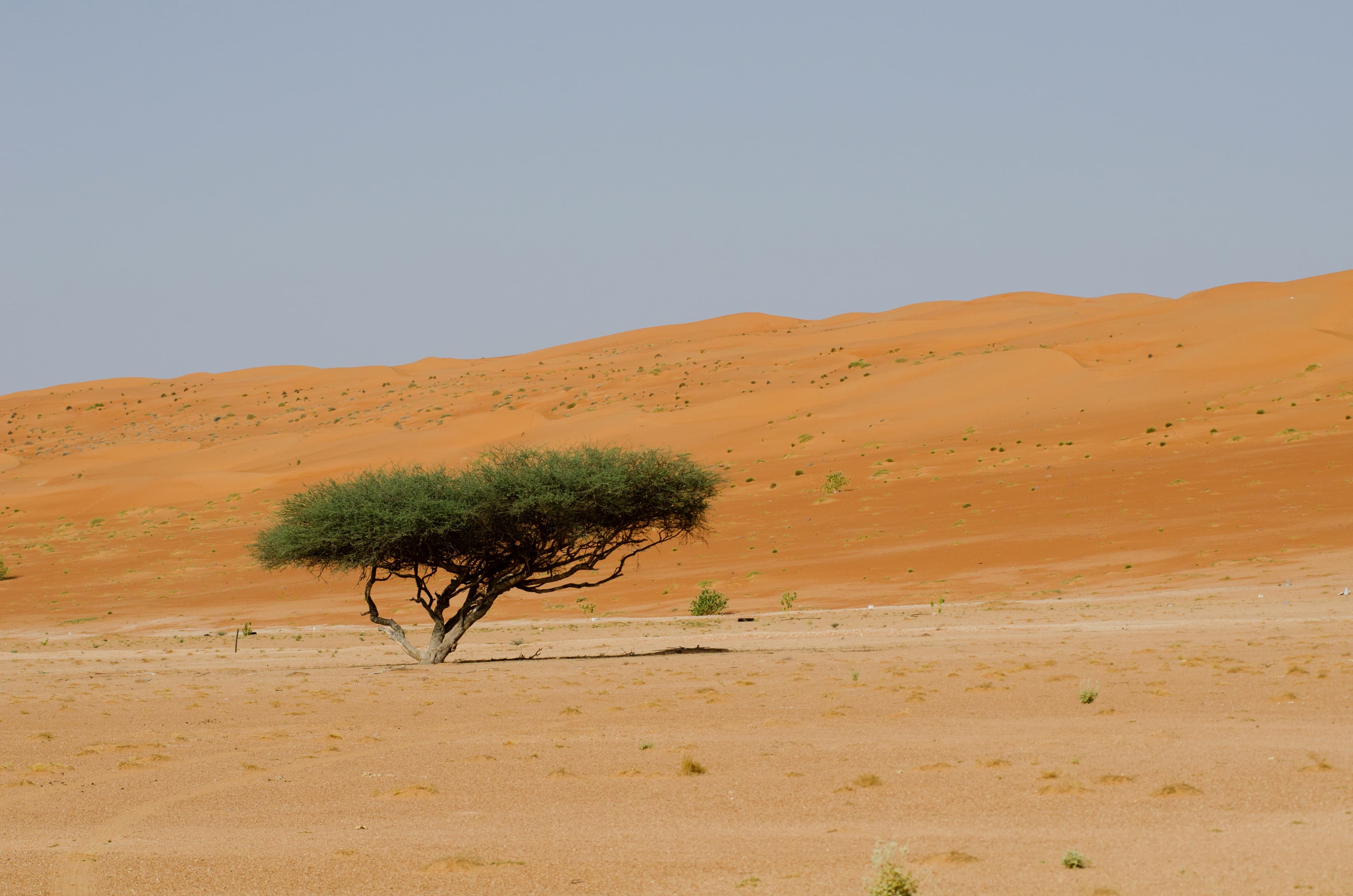 Hike awareness summit in Jeddah