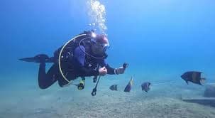 diving experience in Al-Khobar