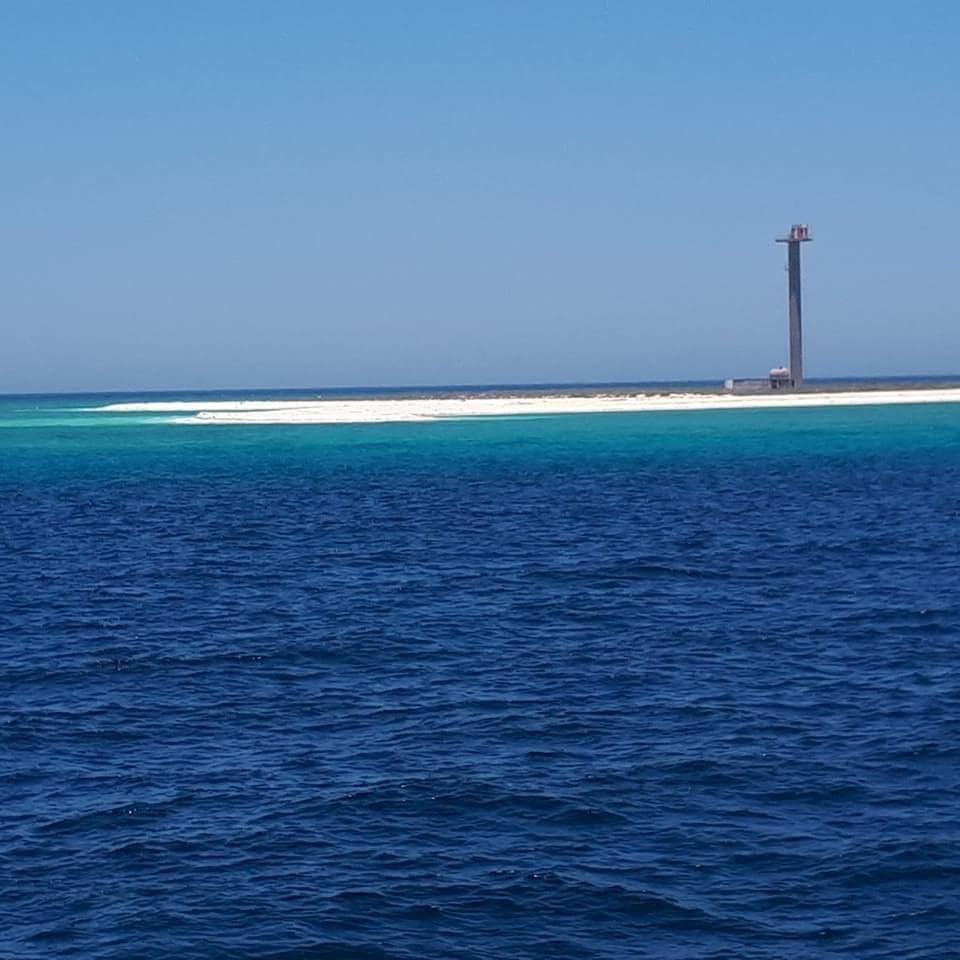 Diving trips in Jubail
