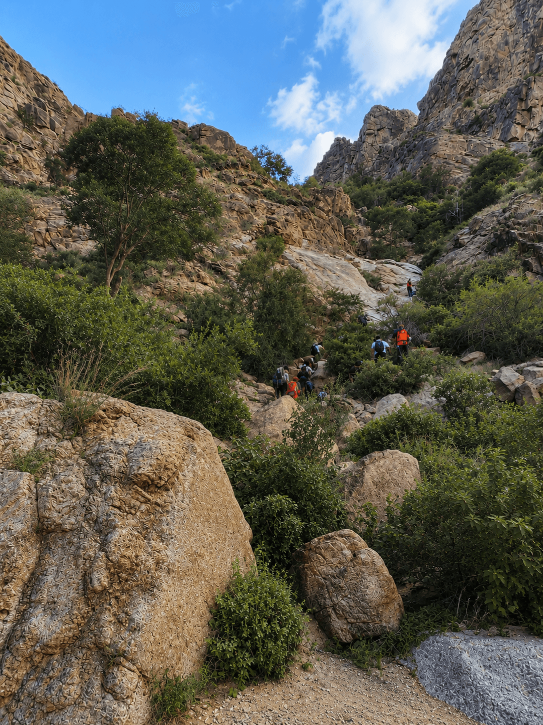 Hiking Wadi Noman 